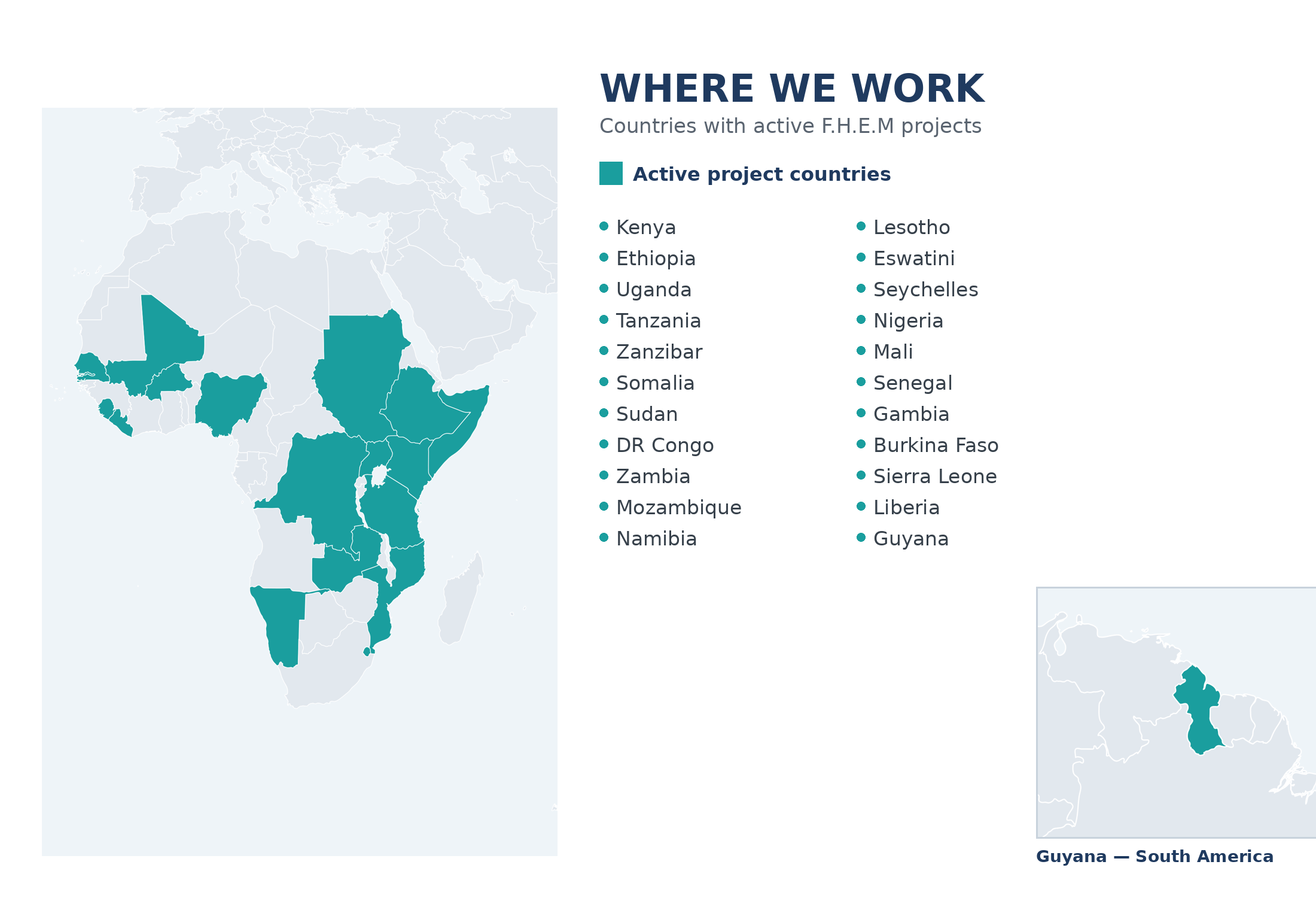 Map of the 21 countries with active F.H.E.M projects across Africa and Guyana